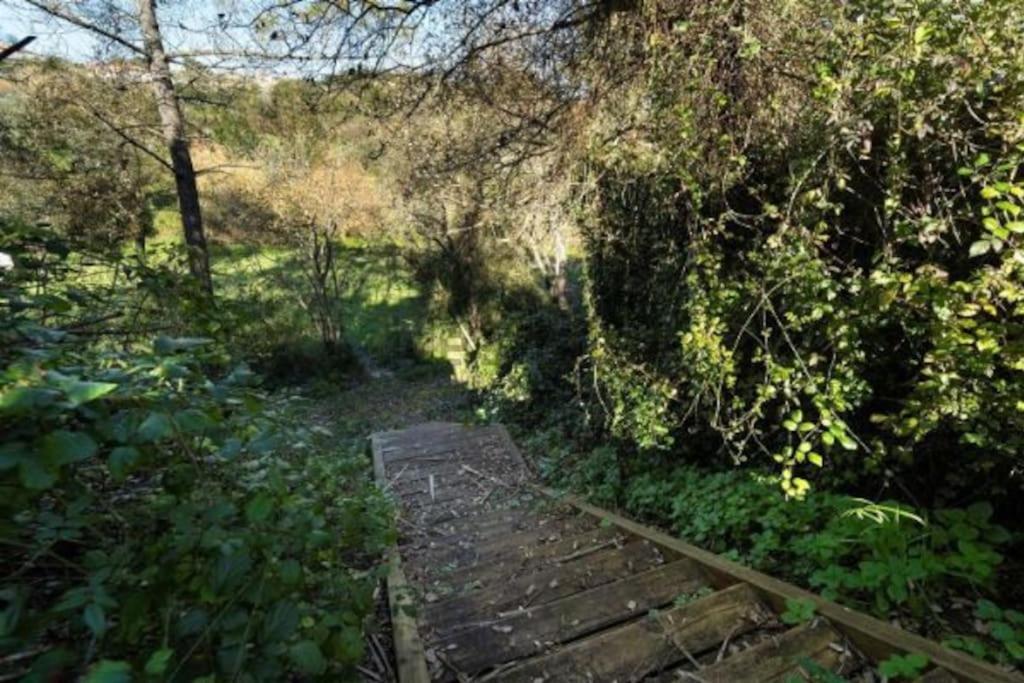 Quinta Boa Vida Villa อัลโกบาซา ภายนอก รูปภาพ