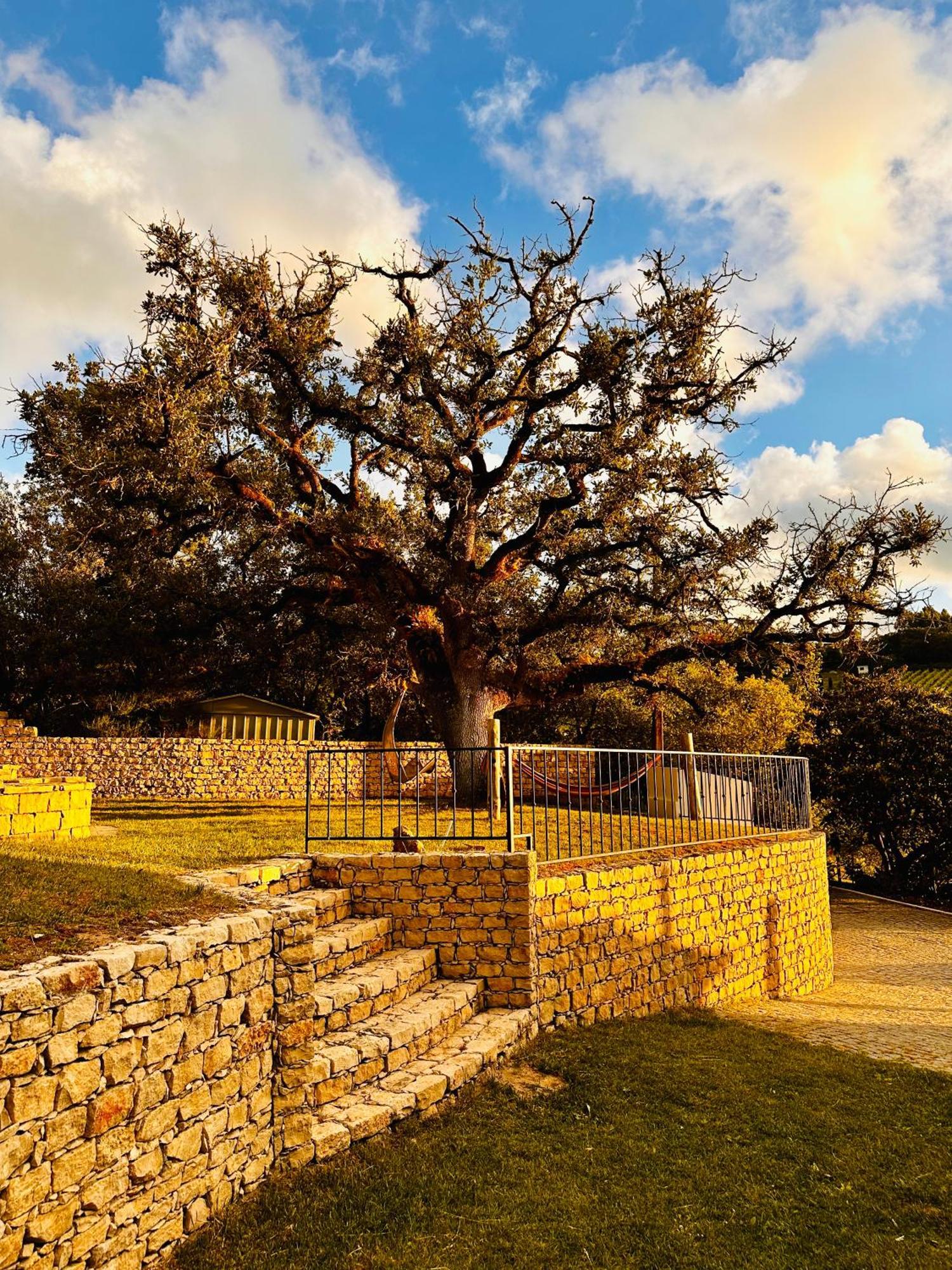 Quinta Boa Vida Villa อัลโกบาซา ภายนอก รูปภาพ
